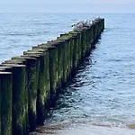 Pod Zaglami *